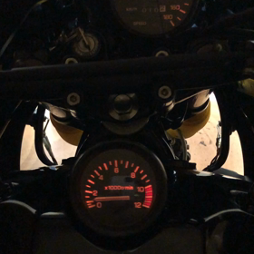 TDR250の画像
