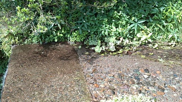 今週もありがとうございましたの記事動画