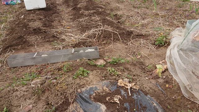 雨(雪？)が降る前にの記事動画