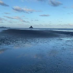 ハワイの弱虫犬MJ  砂の島を独り占めの画像