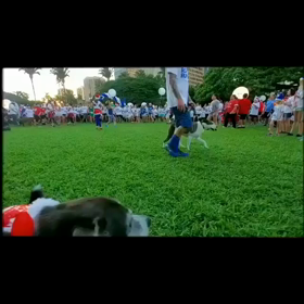 ハワイの弱虫犬MJジングル・ロックラン2019 その1の画像