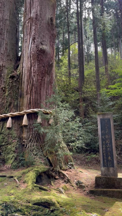 御岩神社パワースポット②☆藤本梨恵の記事動画
