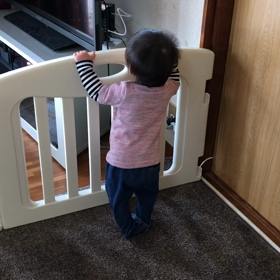 つたい歩きの画像