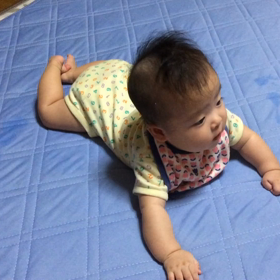 尺取虫さんの画像