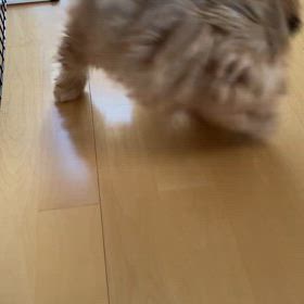あっ！チッコしたの画像