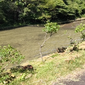 涼んでます♪の画像