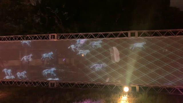 御香宮神社と円山公園イルミネーションの記事動画