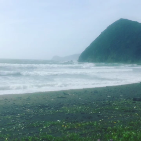 奄美でアンマミ〜ア〜(´･Д･)」vol.19の画像