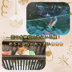 お正月2日目の画像