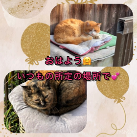お正月3日目の画像