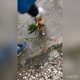 今日の出来事の画像