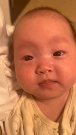 最近の赤たん記録の記事動画