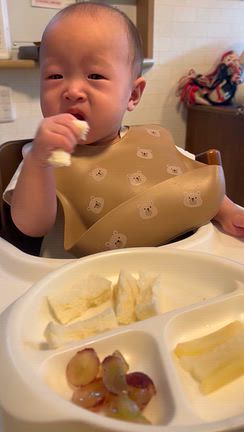 【離乳食】結局これ、、、の記事動画