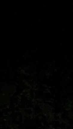 秋の夜長はマツムシの声をの記事動画