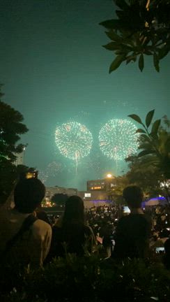 何十年ぶりかに花火大会に出かけてみたら・・・！の記事動画