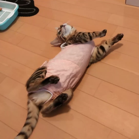 術後服の画像