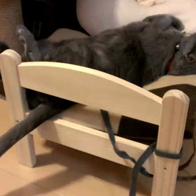 パタパタの画像