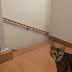 ハンターの画像