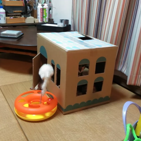 ちょいちょいの画像