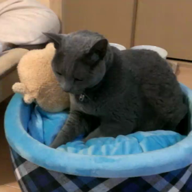 ふみふみの画像