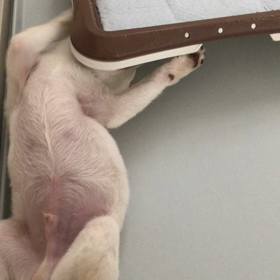 すねるとこうなるの画像
