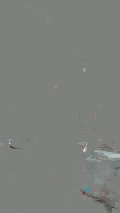 本当の美しさの記事動画