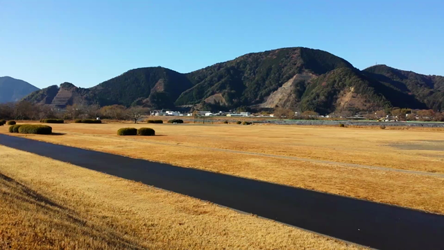 よき一年にしましょうの記事動画
