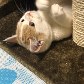 2018/01/20の画像