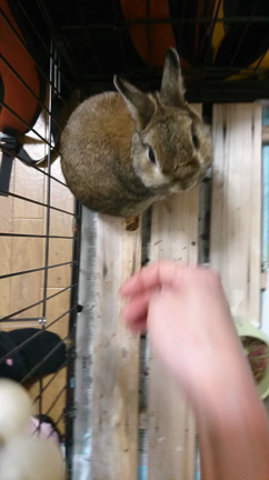 入試といえども、特になにもかわりなく（笑）の記事動画