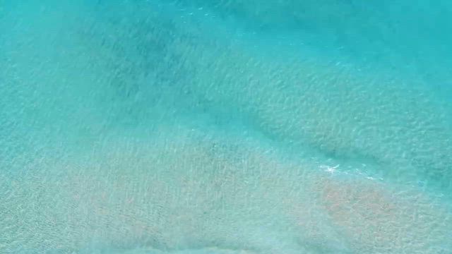 一色真宇先生in沖縄感謝の記事動画