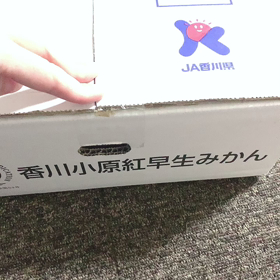 みかーん♡ʾʾの画像