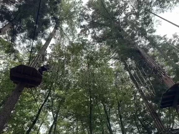 山梨旅♪の記事動画