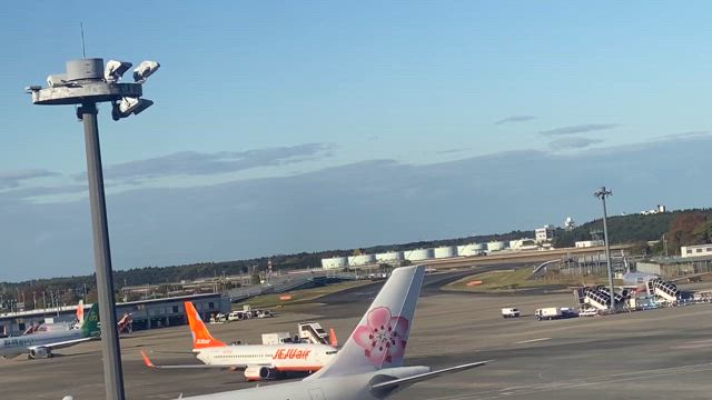✈︎の記事動画