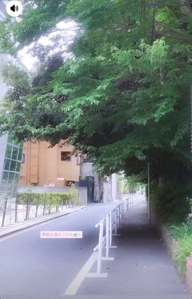 ☀︎ May 2026の記事動画