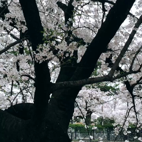 Day Off  ♪の画像