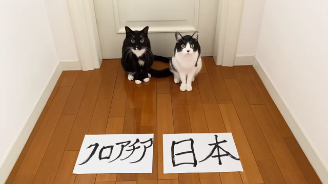 マルオレちゃんの予想の記事動画