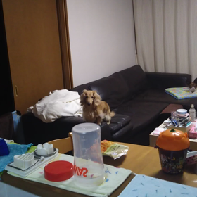 いつもの光景の画像