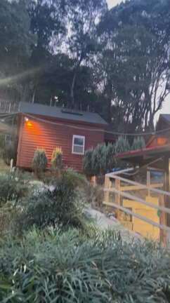 デジタルデトックスもできた卒園旅行♡の記事動画
