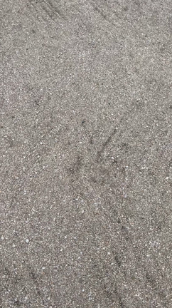降水確率90%からの奇跡の記事動画