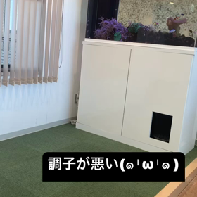 5.9の画像