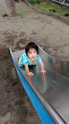 近くの公園にの記事動画