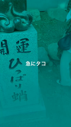 山登りの記事動画