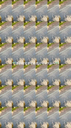 山登りの記事動画