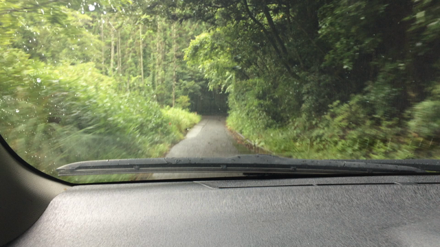 家族旅行〜♪４の記事動画