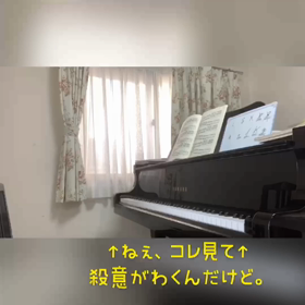 8/8の画像