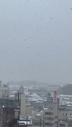 春の淡雪の記事動画
