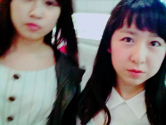 写真祭りの記事動画