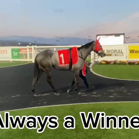 Always a Winnerの画像