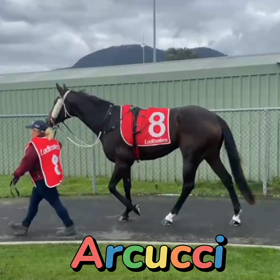 Arcucciの画像