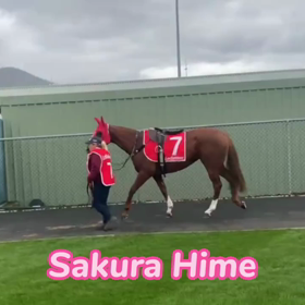 Sakura Himeの画像
